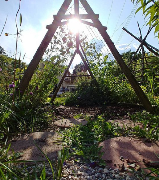 Parents are growing enchanting beanpole garden tents for their kids