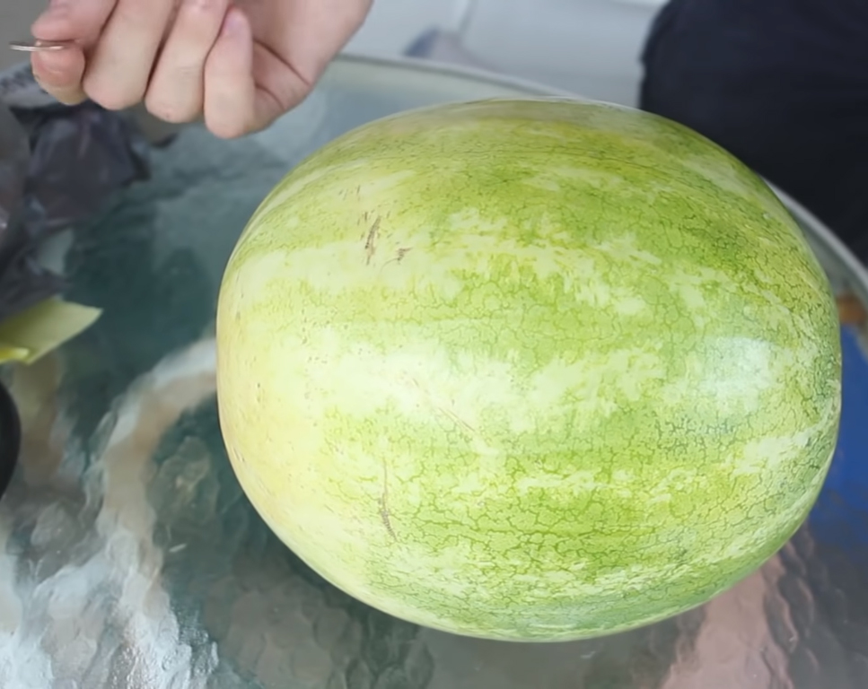Guy demonstrates how to open up a watermelon using just a quarter