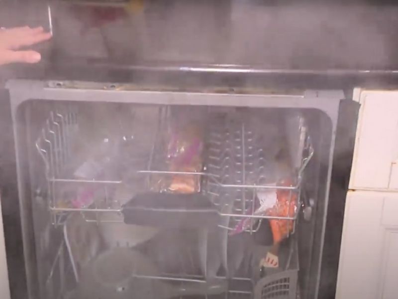 People are cooking steak and salmon in the dishwasher and the